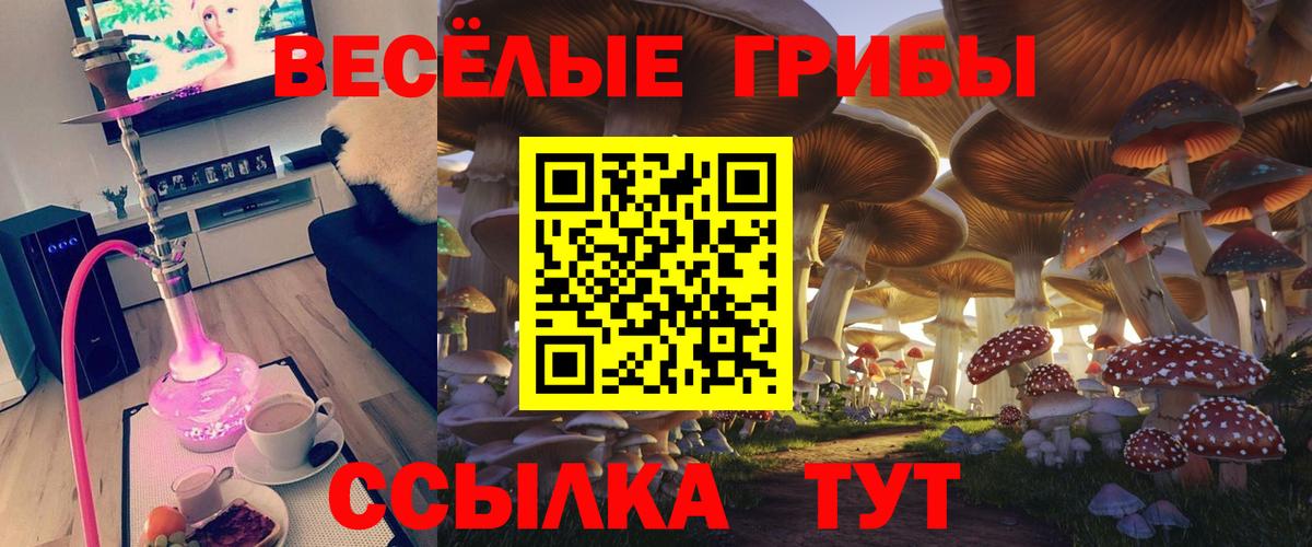 хочу наркоту  Вход с VPN  Нижневартовск  Псилоцибиновые грибы прущие грибы 